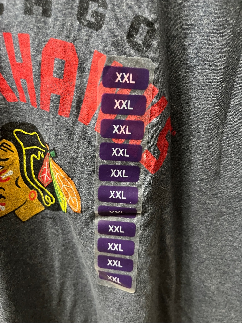 Champion Gray Chicago Blackhawks Hockey Tee with Red Logo - Picture 5 of 7